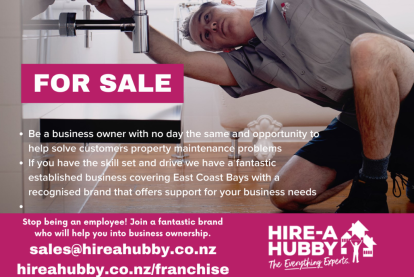 Handyman Service Franchise for Sale East Coast Bays