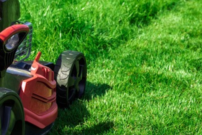 Garden Services Franchise for Sale Dannemora, North Park, Beachlands 