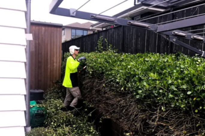 Garden Services Franchise for Sale East Auckland 