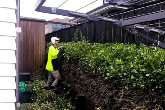 Garden Services Franchise for Sale North Auckland 