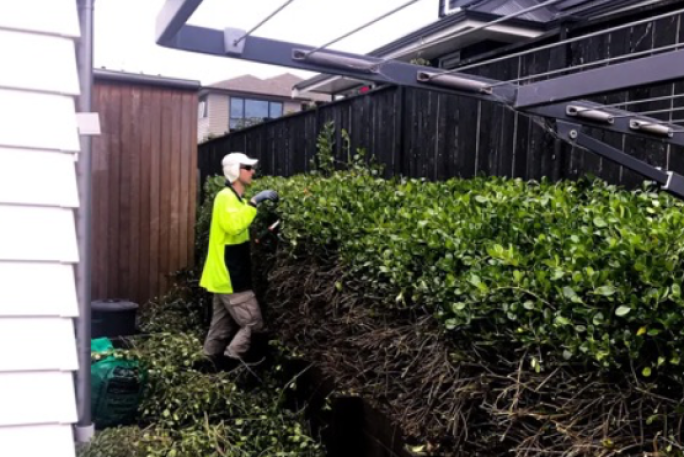 Garden Services Franchise for Sale South Auckland 