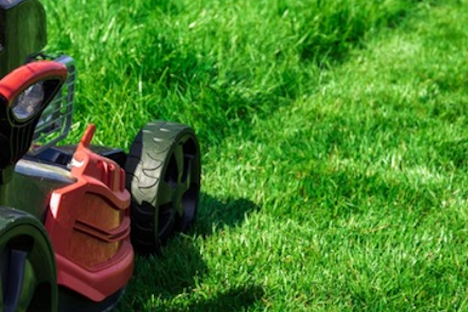 Garden Services Franchise for Sale South Auckland 
