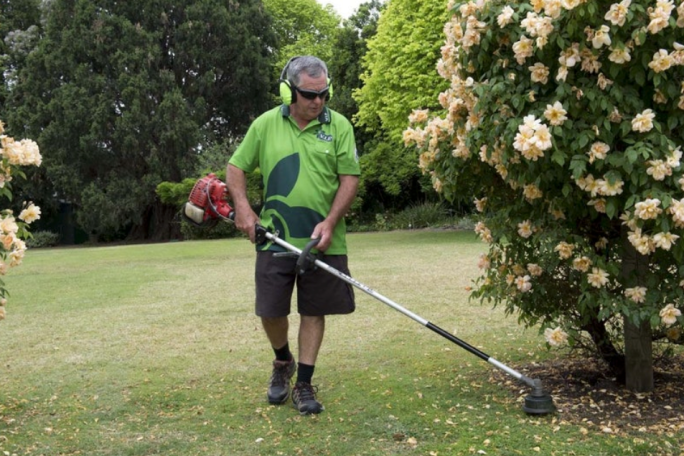 Lawnmowing & Gardening Franchise for Sale North Shore Auckland  Lawnmowing & Gardening Franchise for Sale North Shore Auckland