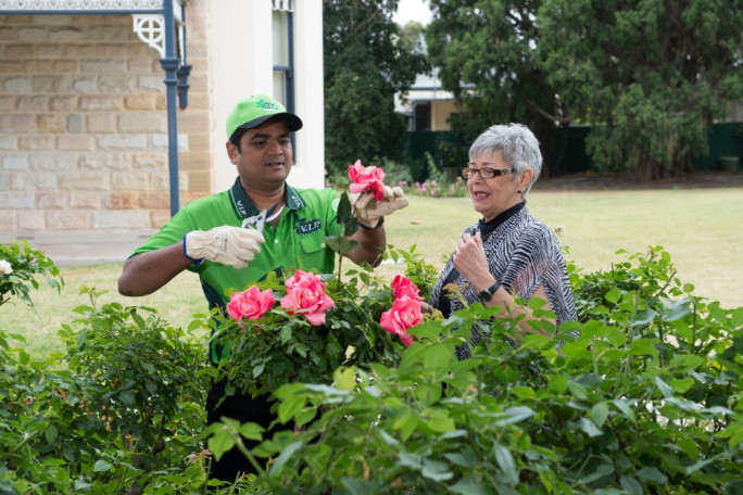 Lawnmowing & Gardening Franchise for Sale Tauranga 