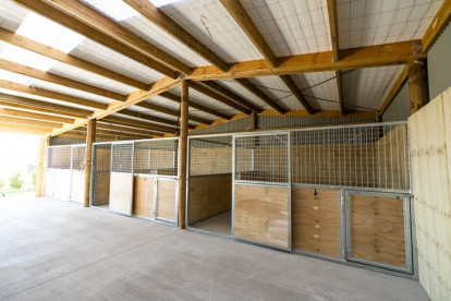 Shed Building Business Opportunity for Sale South Canterbury