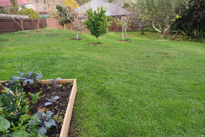 Lawn and Garden Services Franchise for Sale Christchurch