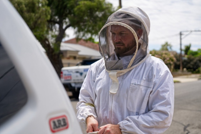 Pest Control Franchise for Sale NZ Wide Pest Control Franchise for Sale NZ Wide