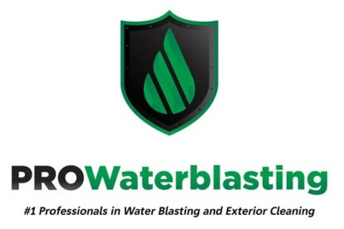 Pro Waterblasting  Franchise for Sale New Zealand 
