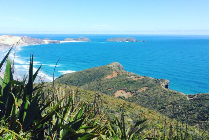 Lawn and Garden Services Franchise for Sale Bay of Islands Lawn and Garden Services Franchise for Sale Bay of Islands