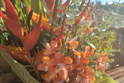 Sustainable Flower Rental Franchise for Sale Tauranga