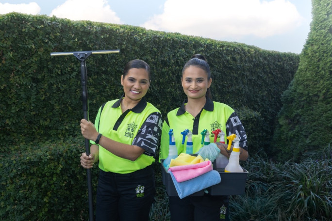 Home and Commercial Cleaning Franchise for Sale Masterton