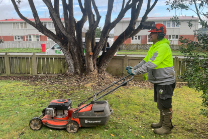 Lawn and Garden Services Franchise for Sale Wellington City