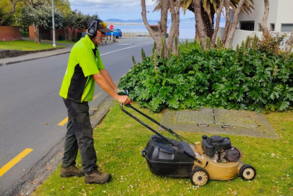Lawn and Garden Services Franchise for Sale Upper Hutt